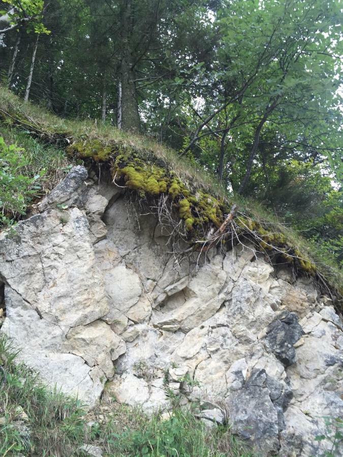 Das Landhaus Puchenstuben Экстерьер фото